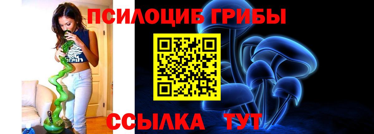 Галлюциногенные грибы GOLDEN TEACHER Бийск